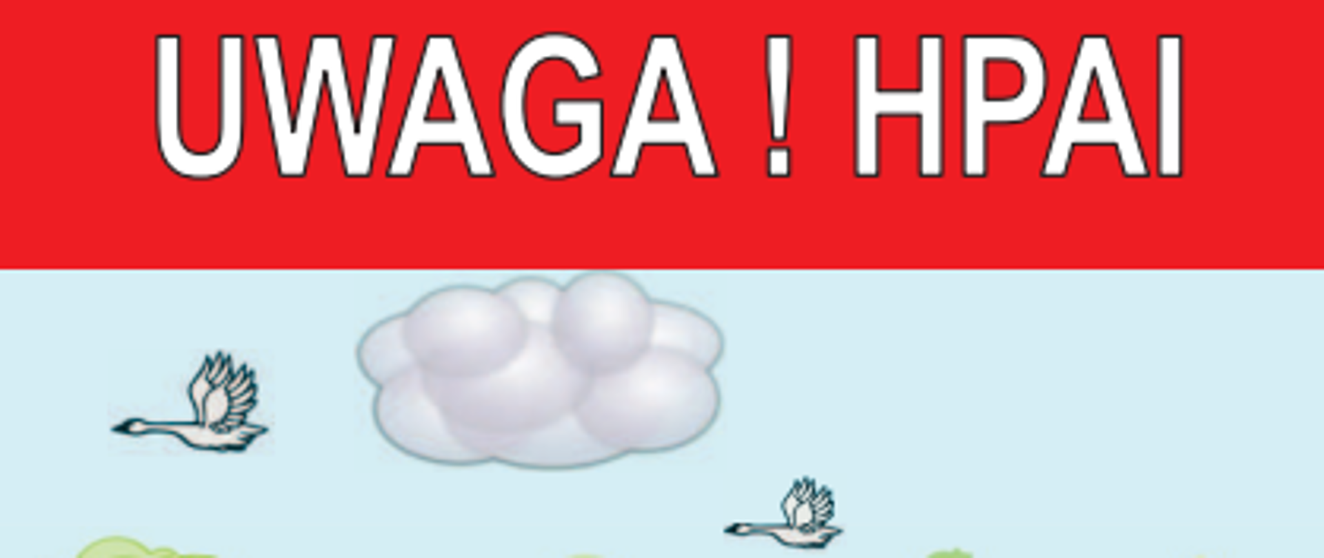 Na ilustracji znajduje się plakat informacyjny dotyczący zasad ochrony gospodarstwa przed wirusem wysoce zjadliwej grypy ptaków (HPAI).
Oto najważniejsze zasady przedstawione na plakacie:
Nie karm drobiu na zewnątrz budynków inwentarskich.
Pozostaw ptaki w przeznaczonych do tego pomieszczeniach – nie pozwalaj im swobodnie poruszać się po otwartym wybiegu.
Nie wykorzystuj do pojenia drobiu wody ze zbiorników, do których mają dostęp dzikie ptaki.
Po każdym kontakcie z drobiem lub dzikimi ptakami – umyj ręce wodą z mydłem.
W przypadku czynności związanych z obsługą drobiu – używaj odzieży i obuwia ochronnego przeznaczonego wyłącznie do tego celu.
Stosuj maty dezynfekcyjne przy wejściach i wyjściach z budynków, gdzie przebywa drób, oraz przy wjazdach i wyjazdach z gospodarstwa.
Zabezpiecz budynki, w których utrzymywany jest drób i pasza, przed dostępem zwierząt dzikich, w tym ptaków.
Obserwuj stan zdrowia ptaków. W razie niepokojących objawów natychmiast powiadom lekarza weterynarii.