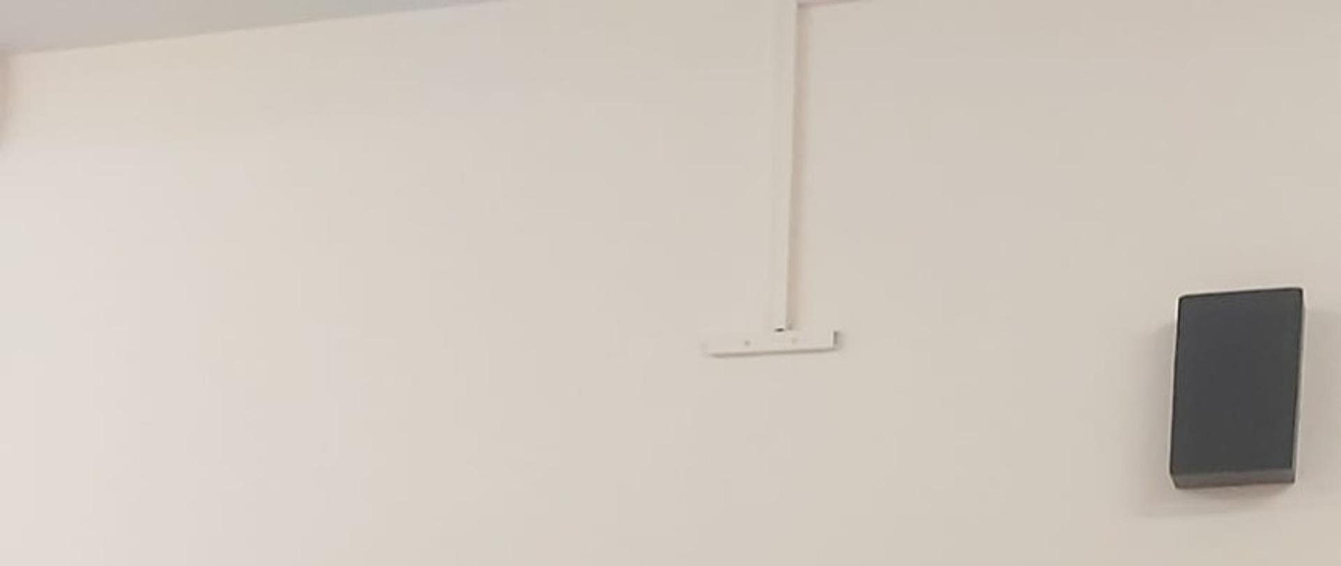 Reprezentantki naszej szkoły w konkursie „Poznajmy nasze lasy i ojczystą przyrodę”