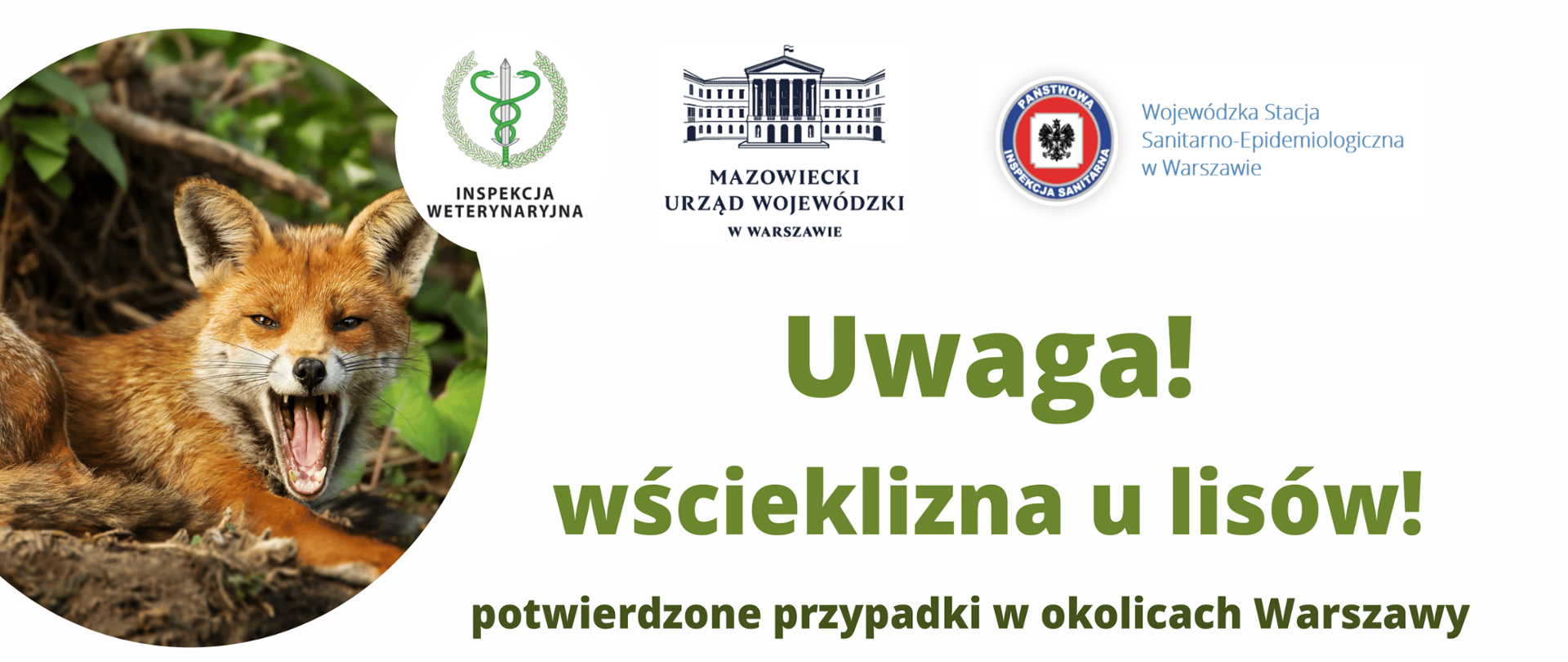 Logotypy Inspekcji Weterynaryjnej, Mazowieckiego Urzędu Wojewódzkiego i Wojewódzkiej Stacji Epidemiologicznej w Warszawie. Uwaga! Wścieklizna u lisów. Potwierdzone przypadki w okolicach Warszawy. Obszarem zagrożonym wścieklizną zostały objęte tereny powiatów: garwolińskiego,mińskiego i otwockiego
oraz dzielnic: Wawer i Wesoła M. St. Warszawy