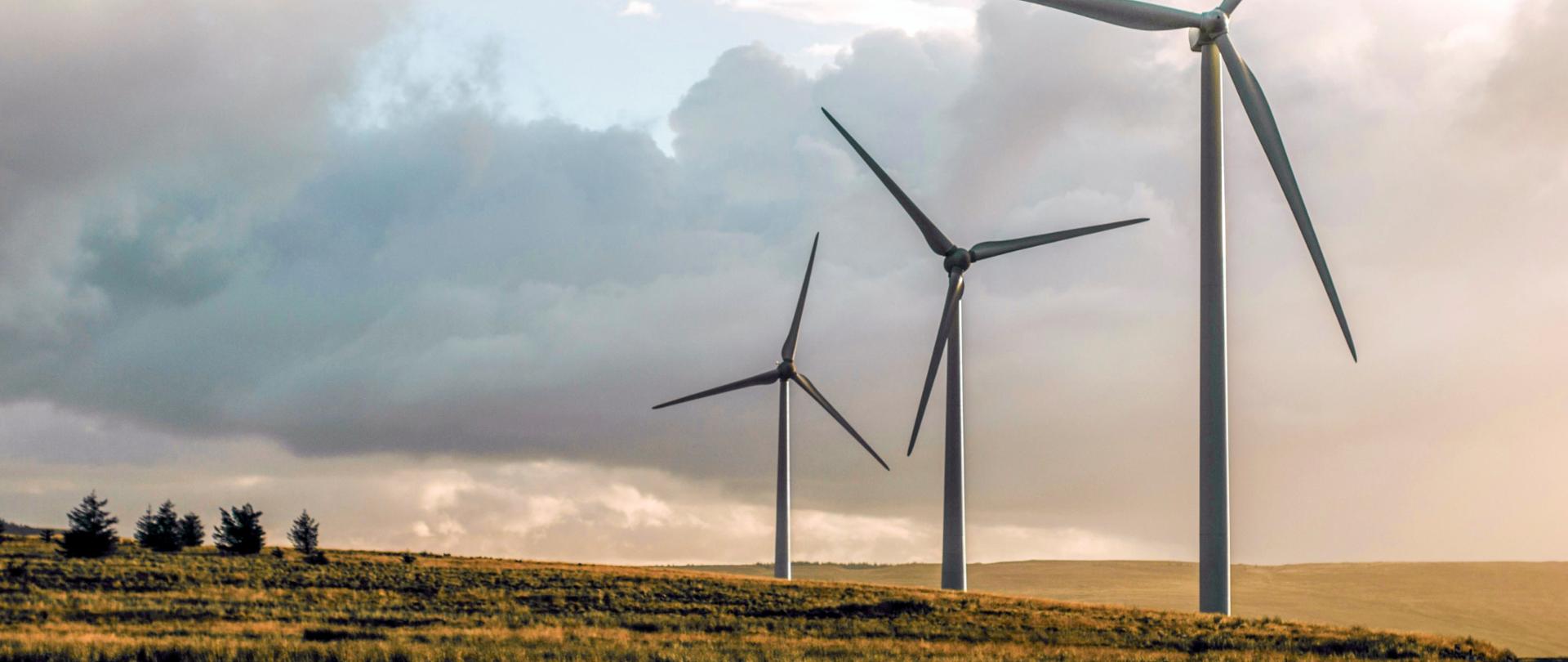 Zdjęcie stojących w polu trzech wiatraków wytwarzających energię.