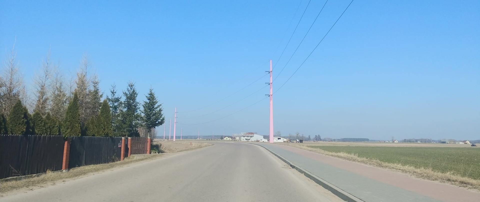 Powiatowy Zarząd Dróg zakończył poziomowe sprzątanie i zamiatanie ulic. Na zdjęciu ścieżka rowerowa od Przasnysza do Brzesk - Kołaków (wzdłuż trasy "różowych słupów").