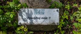 Ogród Botaniczny w Brwinowie