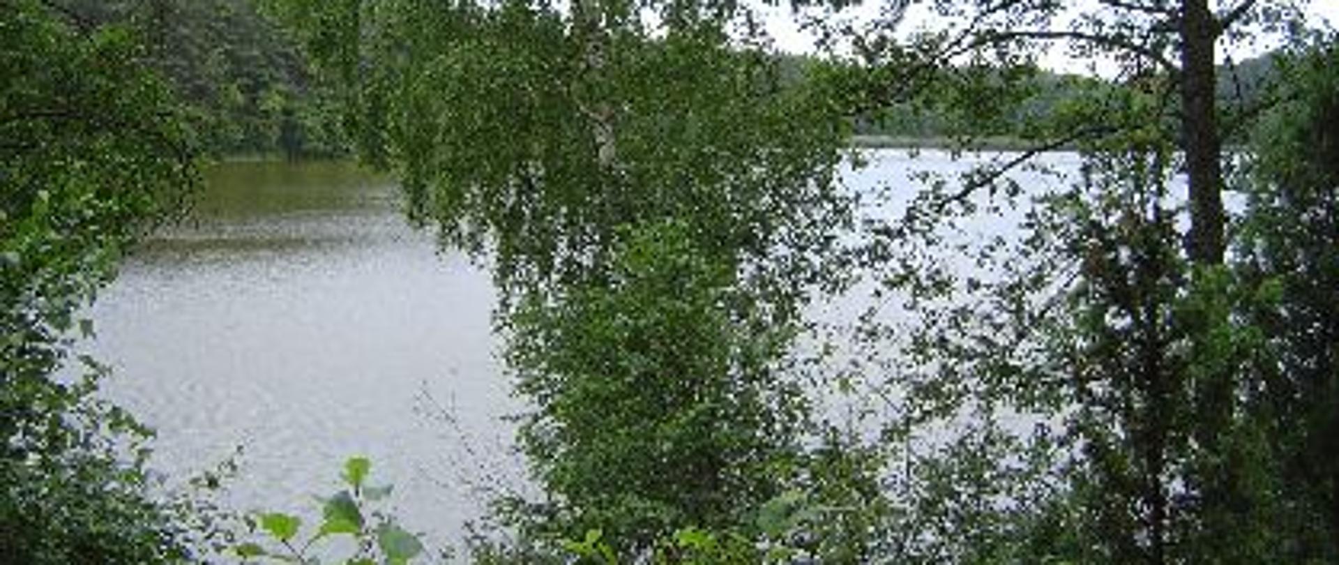 Jezioro Lisie w okolicy Przesiek
