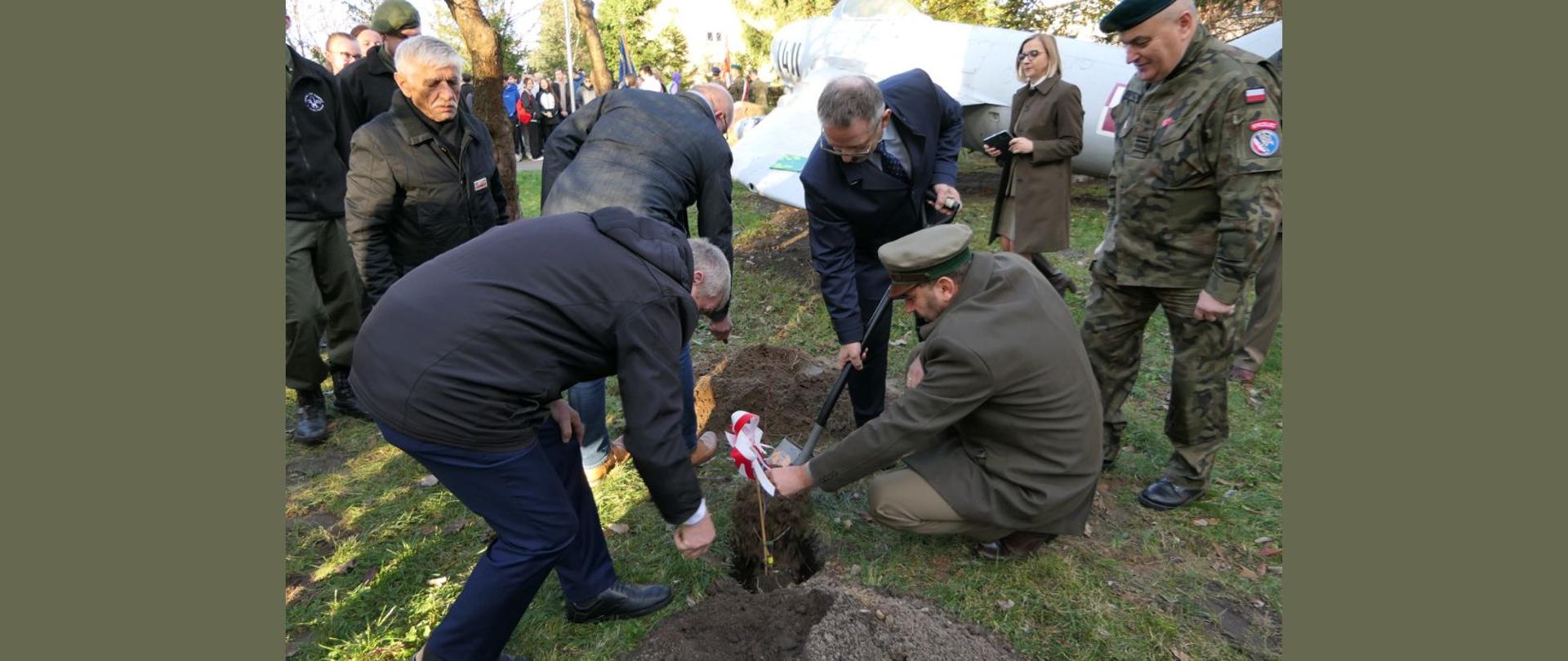 Starosta Lipski i Przewodniczący Rady Powiatu Lipskiego przysypują sadzonkę dębu ziemią.