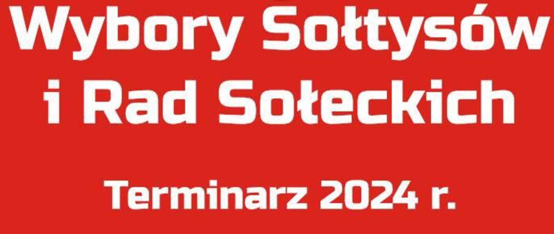 Wybory Rad Sołeckich