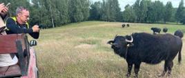 Fotosafari - uczestnicy wycieczki siedzą w aucie, oglądają zwierzęta