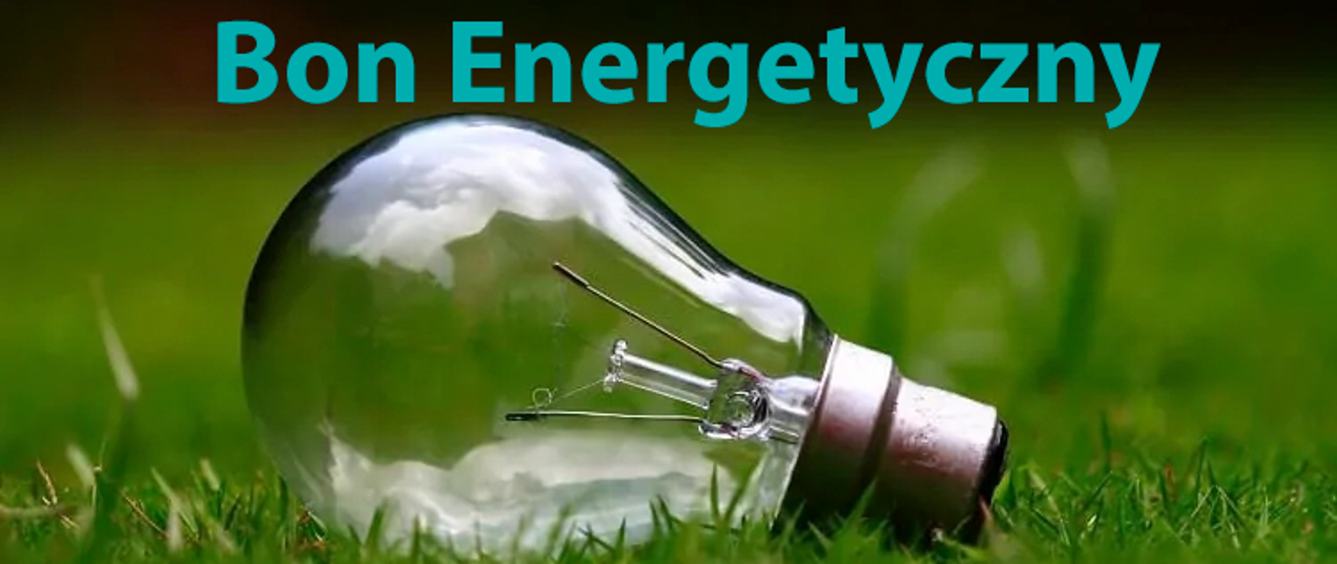 Żarówka na trawie z napisem bon energetyczny