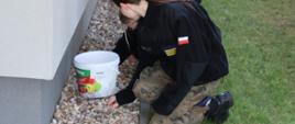 Uczniowie w trakcie prac porządkowych.