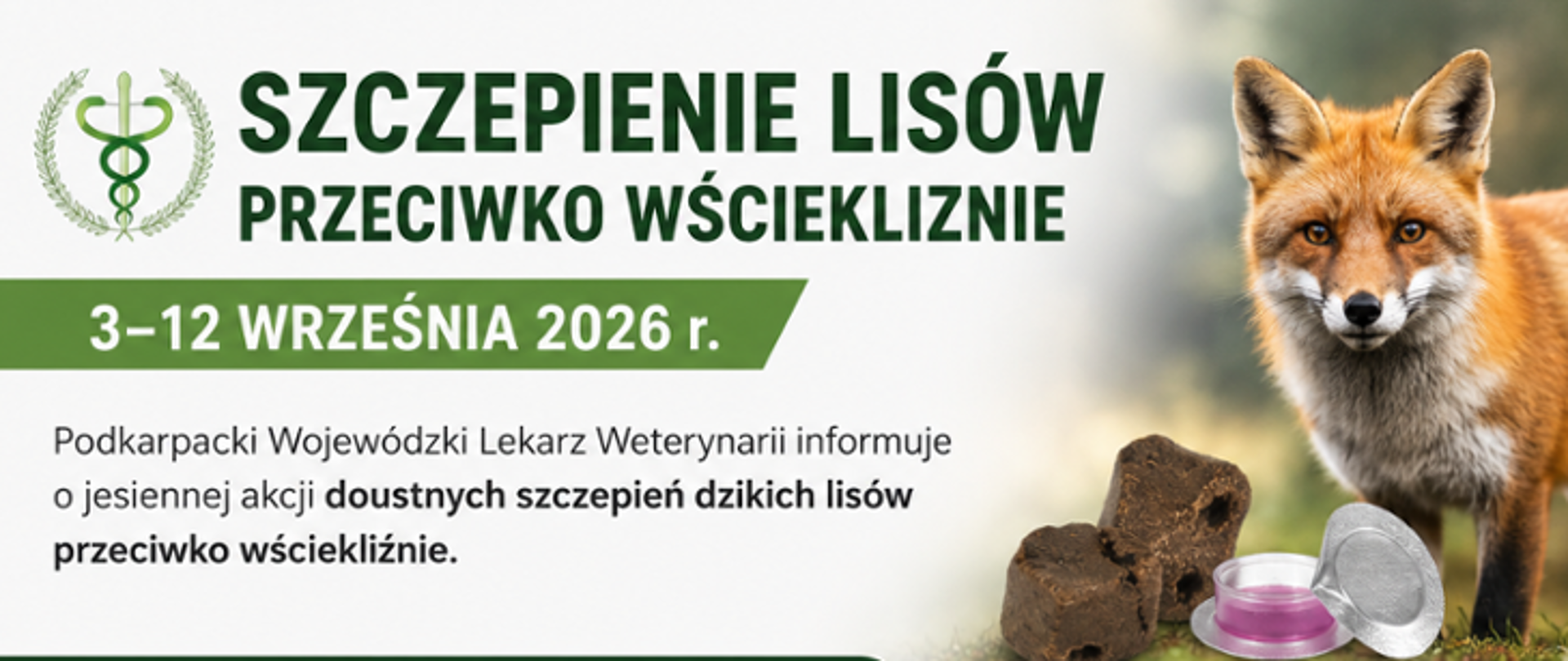 szczepienie