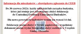 CEEB instrukcja wypełniania deklaracji