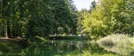 Park w Regułach