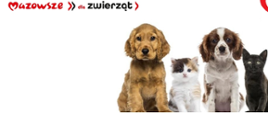 Mazowsze dla zwierząt