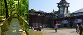 Kolaż zdjęć - po lewej - w Rezerwacie Ścisłym - najcenniejszym obszarze BPN, po lewej - Muzeum Przyrodniczo - Leśne. Białowieski Park Narodowy top najstarszy Park w Polsce, w 2021 obchodzi setny jubileusz