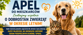 Apel do mieszkańców - Zadbajmy wspólnie o dobrostan zwierząt w okresie letnim