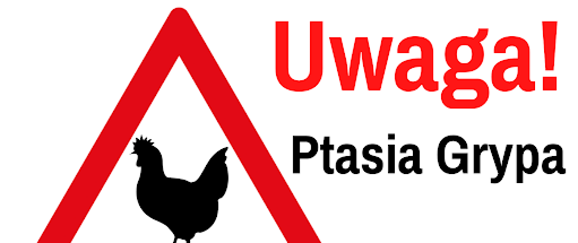 Ptasia grypa