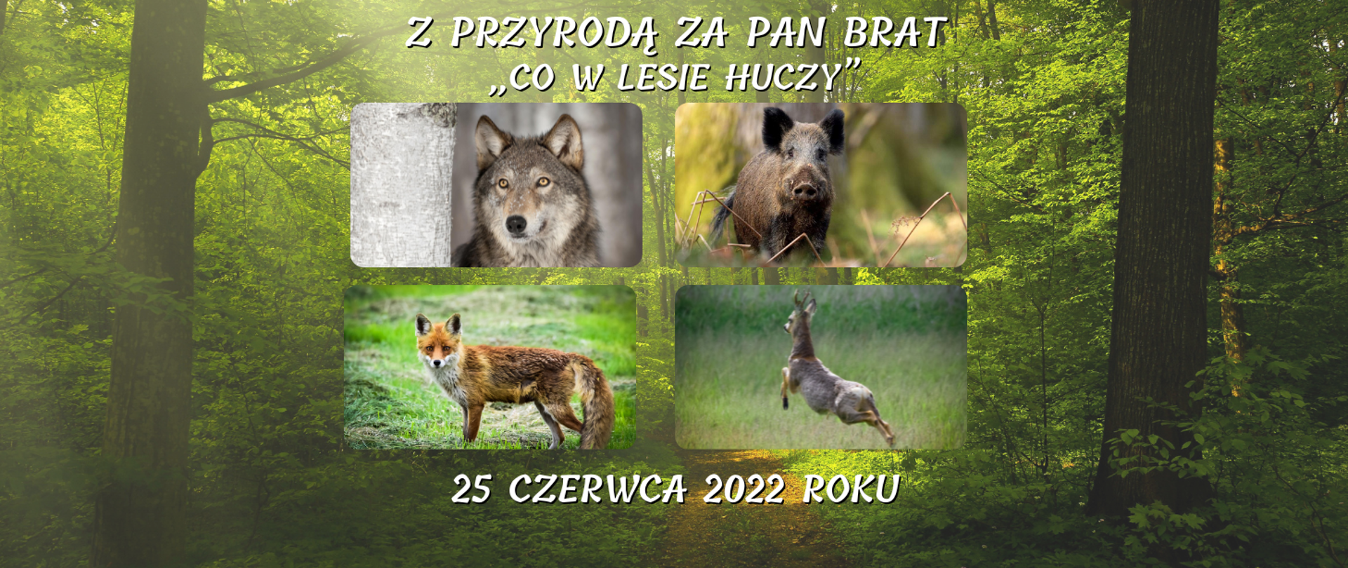 grafika przedstawia banner z tekstem Z PRZYRODĄ ZA PAN BRAT - „CO W LESIE HUCZY”, 25 czerwca 2022 roku