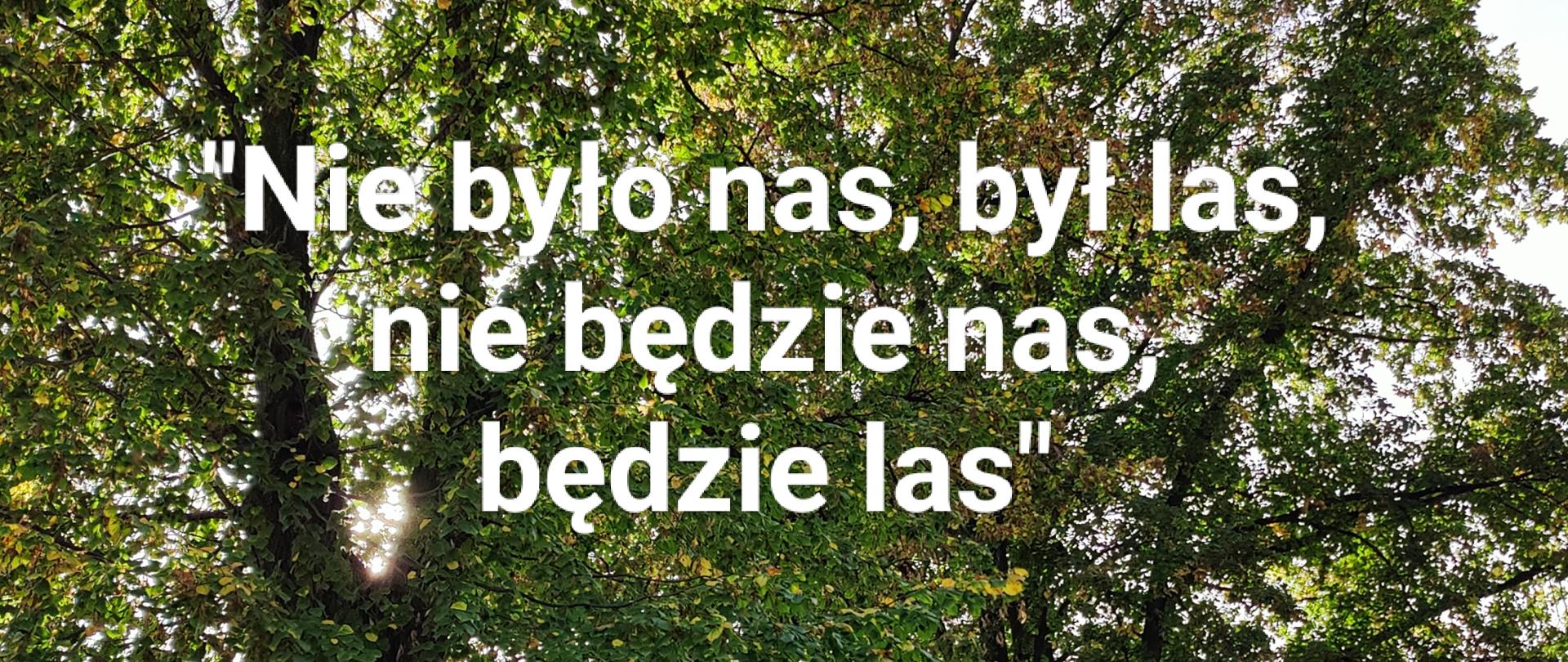 Członkowie koła ekologicznego.