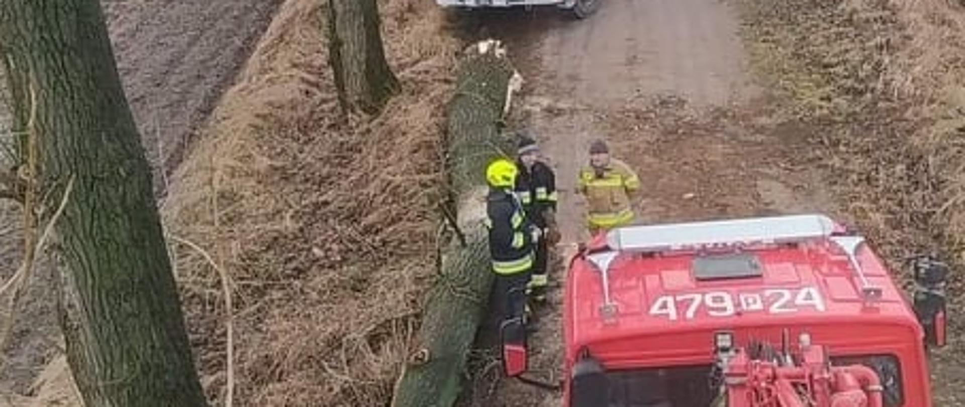 Działania ratownicze kłodawskich strażaków w związku ze skutkami silnego wiatru - grafika do artykułu