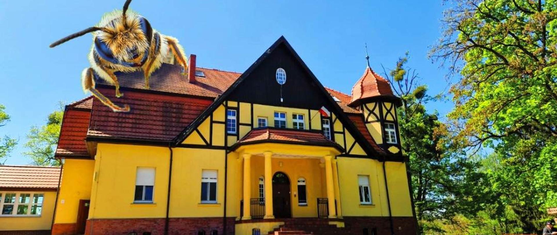 Budynek Centrum Aktywności "Leśna Górka" w Przemkowie