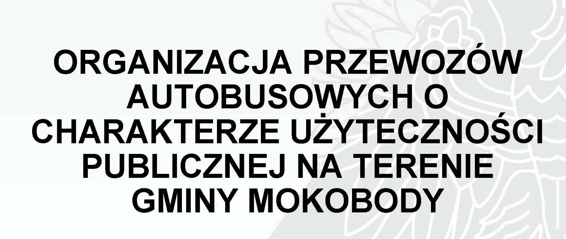 ORGANIZACJA PRZEWOZÓW AUTOBUSOWYCH O CHARAKTERZE UŻYTECZNOŚCI PUBLICZNEJ