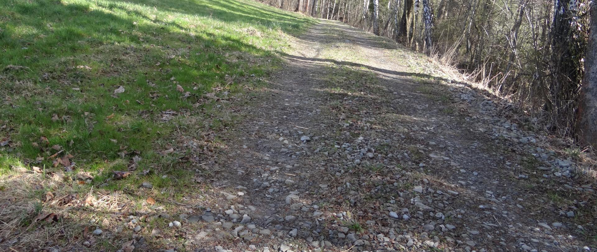 Modernizacja drogi gminnej Karbówka w miejscowości Rokiciny Podhalańskie. 
