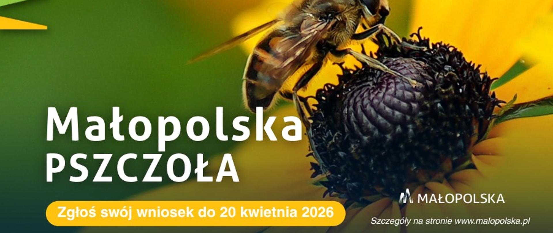 Grafika promująca konkurs z logo Małopolski i napisem: Małopolska Pszczoła. Zgłoś swój wniosek do 20 kwietnia 2026