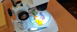 Mikroskop służący do obserwacji i doświadczeń na lekcjach biologii