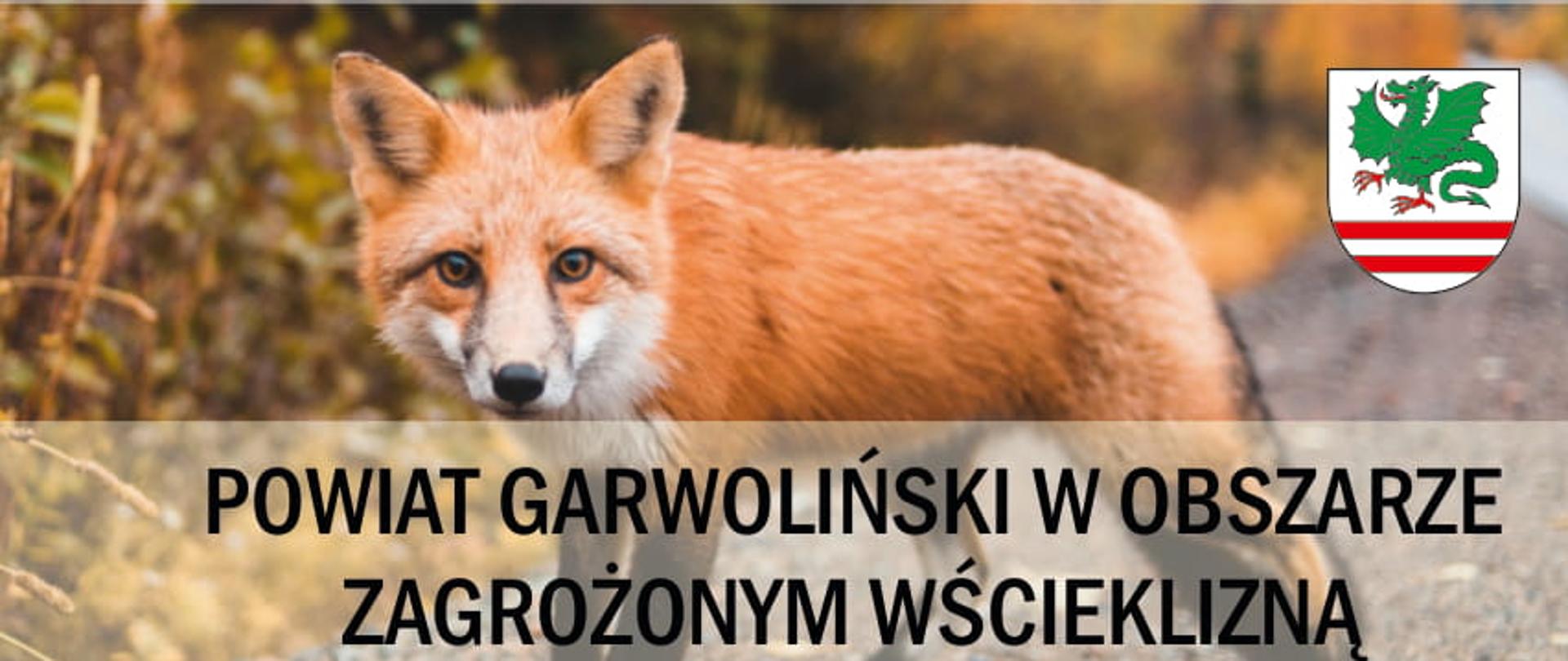 Informacja - Powiat Garwoliński zagrożony wścieklizną