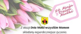Z okazji Dnia Matki wszystkim Mamom składamy najserdeczniejsze życzenia . wielu powodów do radości, dni pełnych uśmiechu, zdrowia, a także poczucia dumy płynącej z trudu wychowania.