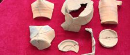 Fragmenty kafli miskowych i garnkowych wydobyte z piecowisk − pozostałości dworu królewskiego, podczas prac archeologicznych na Starej Białowieży w 2006 r. Fot. B. Jędrzejewska