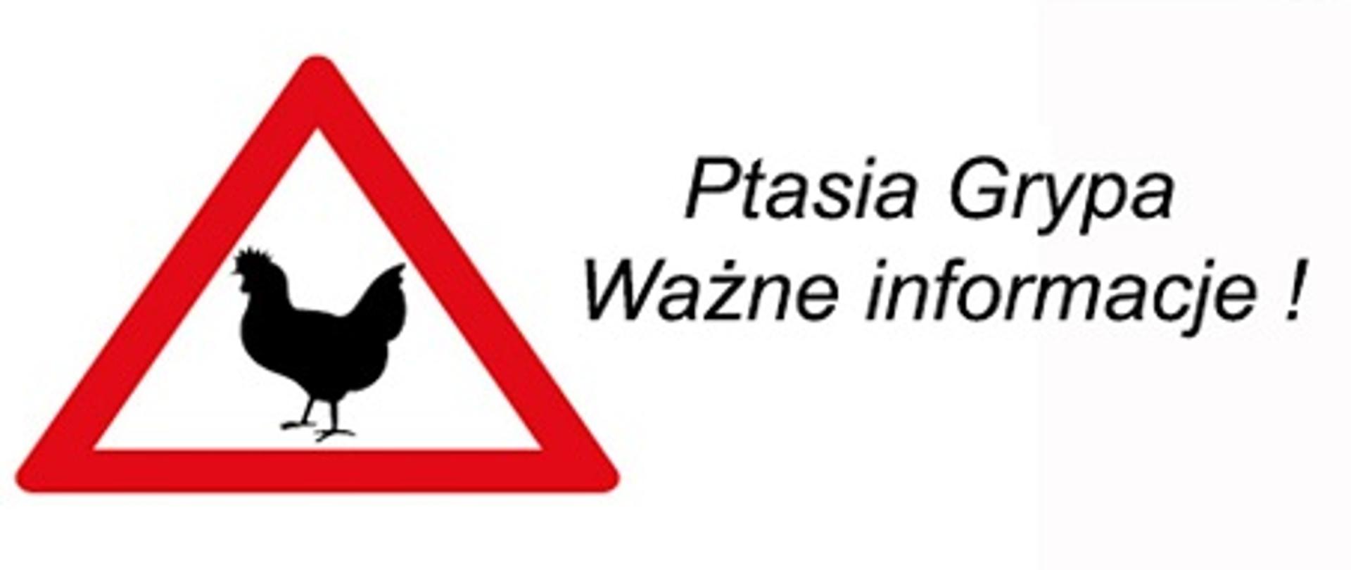 Ważne informacje - Ptasia Grypa