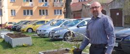 Starosta Krzysztof Bieńkowski trzyma sadzonkę krzewu. Zdjęcie wykonane na terenie zielonym pomiędzy parkingiem a chodnikiem przy ulicy Świętego Wojciecha w Przasnyszu. W tle widoczne betonowe konstrukcje wypełnione ziemią, samochody oraz blok.