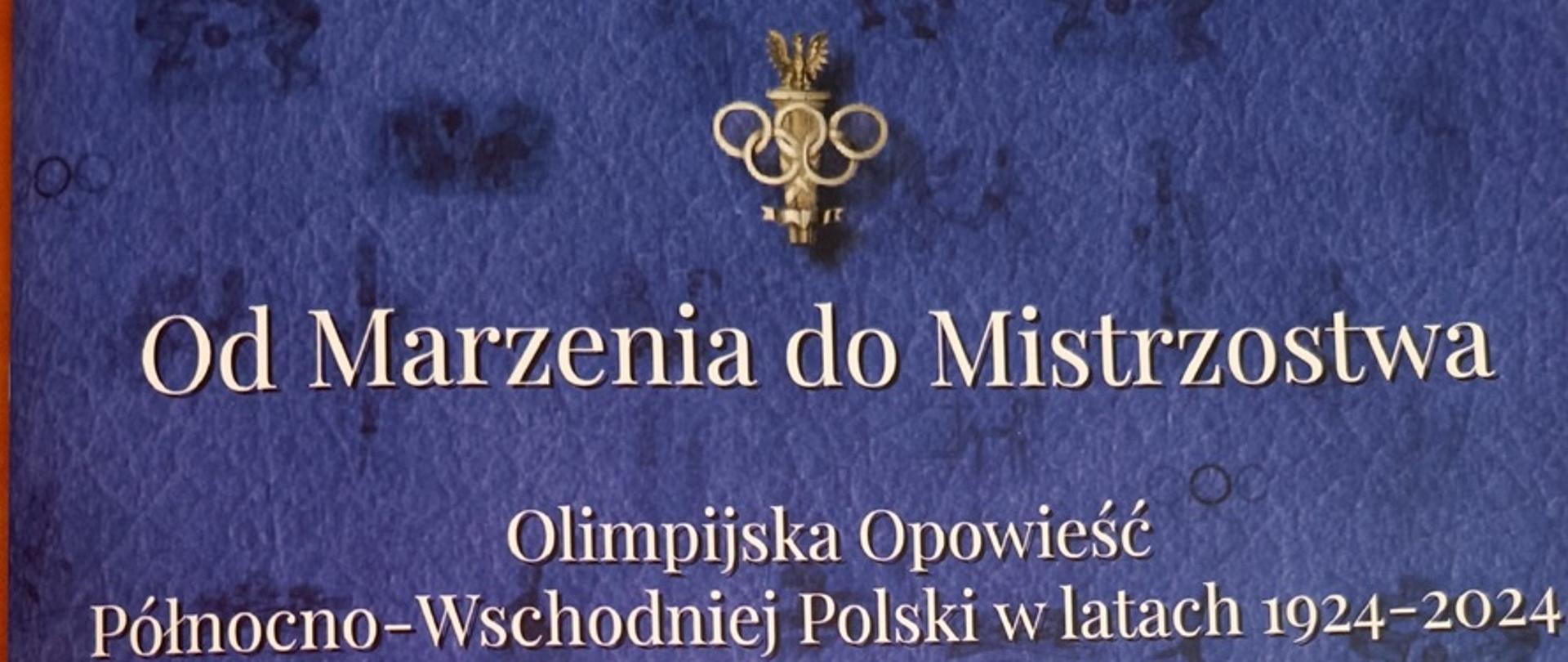 Publikacja
