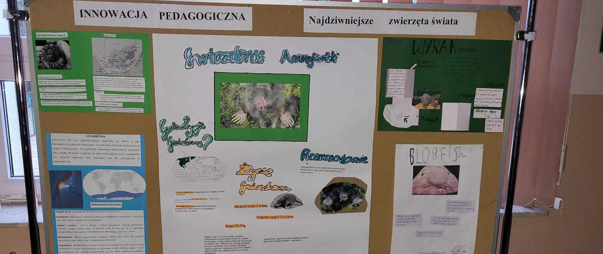 Innowacja z geografii - Śladami najdziwniejszych zwierząt na świecie