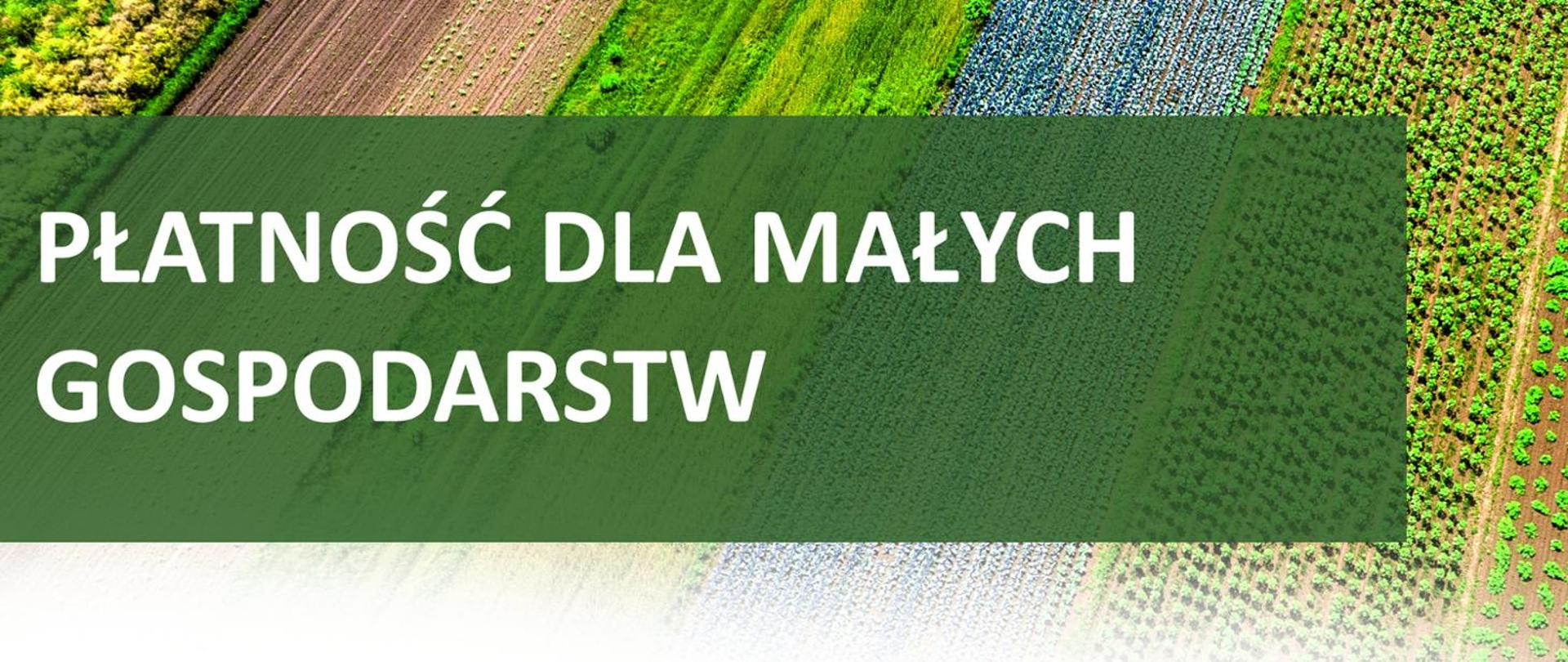 Na zielonym kwadracie białe litery "Płatność dla małych gospodarstw", w tle zdjęcie z lotu ptaka upraw rolniczych