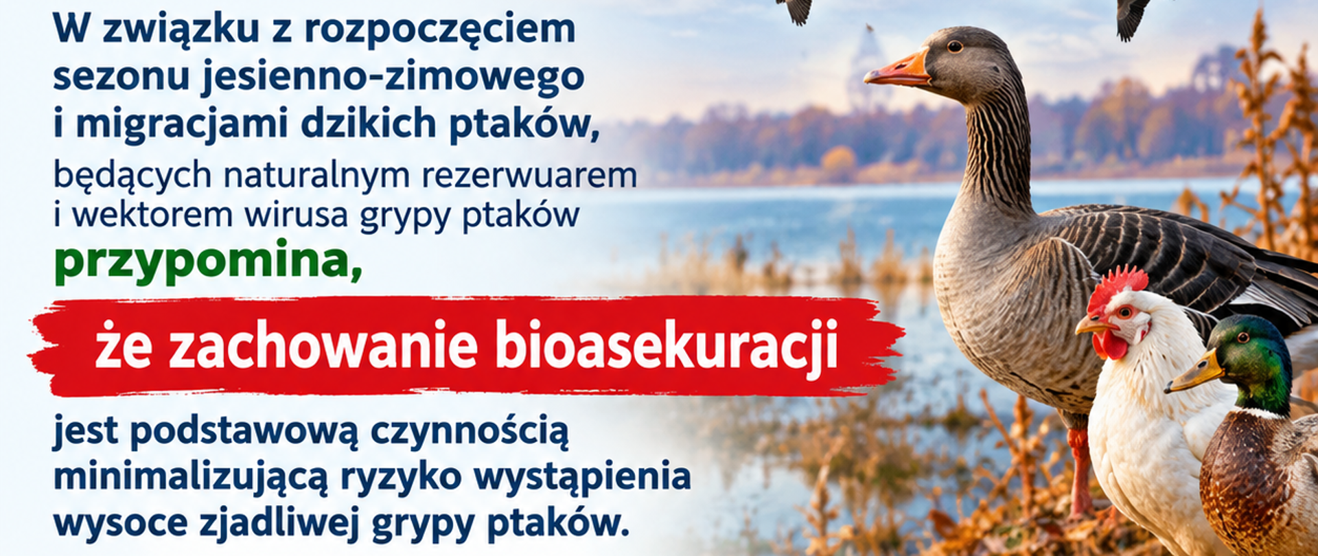 Bioasekuracja chroni ptaki i gospodarstwa