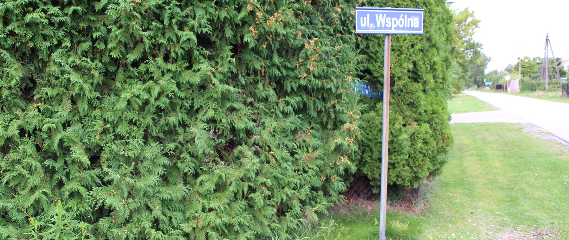 Zdjęcie przedstawia duży, zadbany żywopłot, a tuż przy nim niebieski znak z napisem „ul. Wspólna”. W prawym górnym rogu widać fragment drogi i domów.