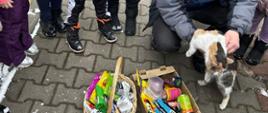 Karmienie kotka - dzieci otaczają mężczyznę, który trzyma zwierzę