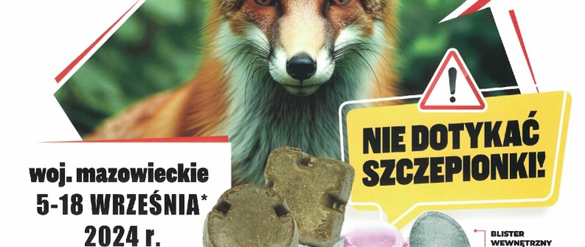 informacja o szczepieniu lisów, które odbędzie się na terenie województwa mazowieckiego w dniach 5-18 września 2024 r.
