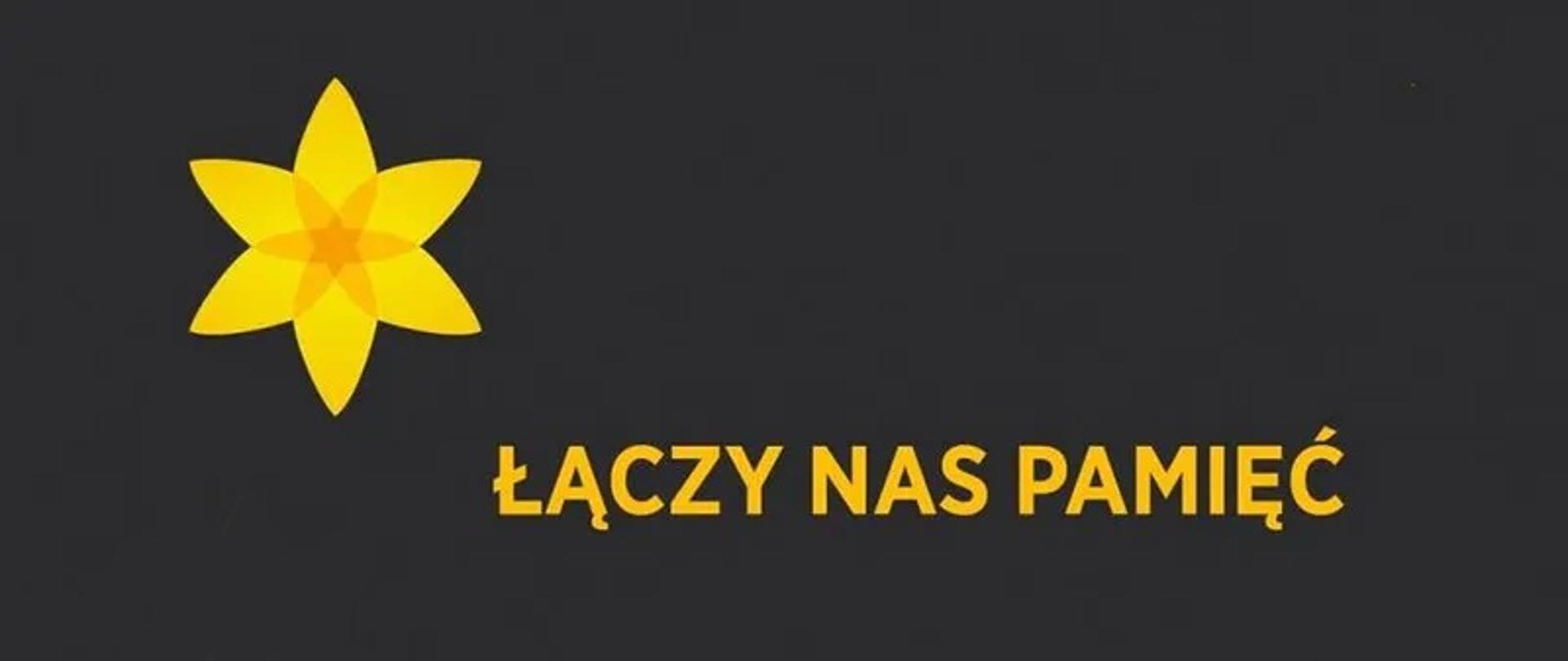 Żonkile