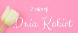 Biały tulipan i życzenia z okazji Dnia Kobiet
