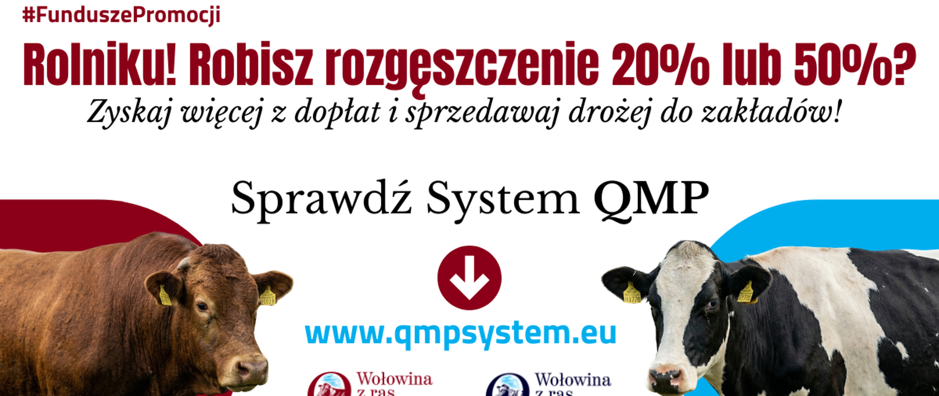 zwierzęta 2