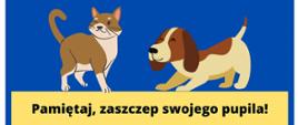 zwierzęta kot i pies 
