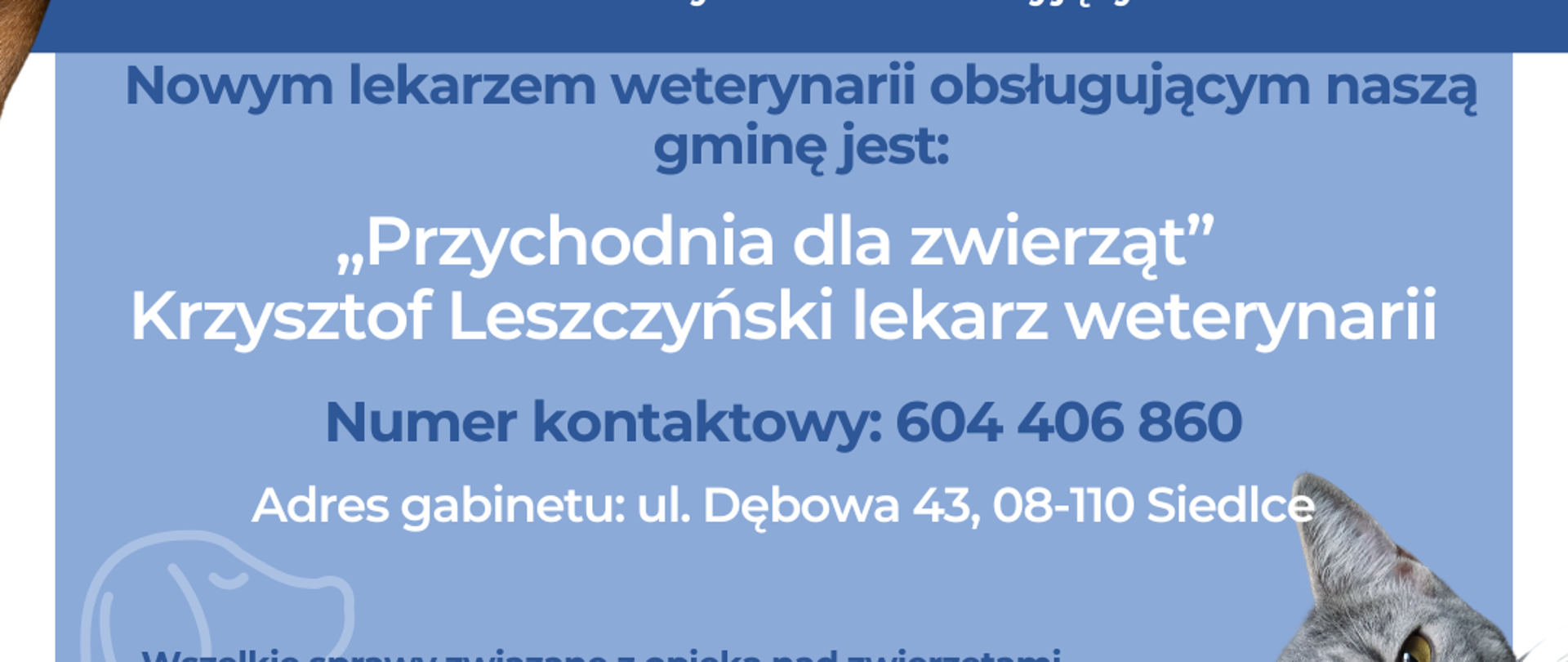 Niebieski_Nowoczesny_Weterynarz