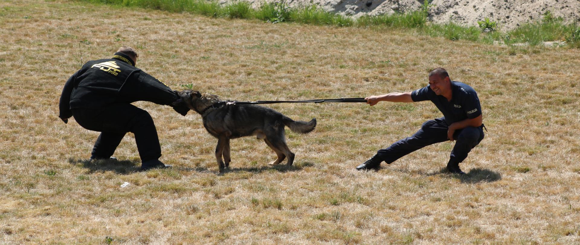 policja