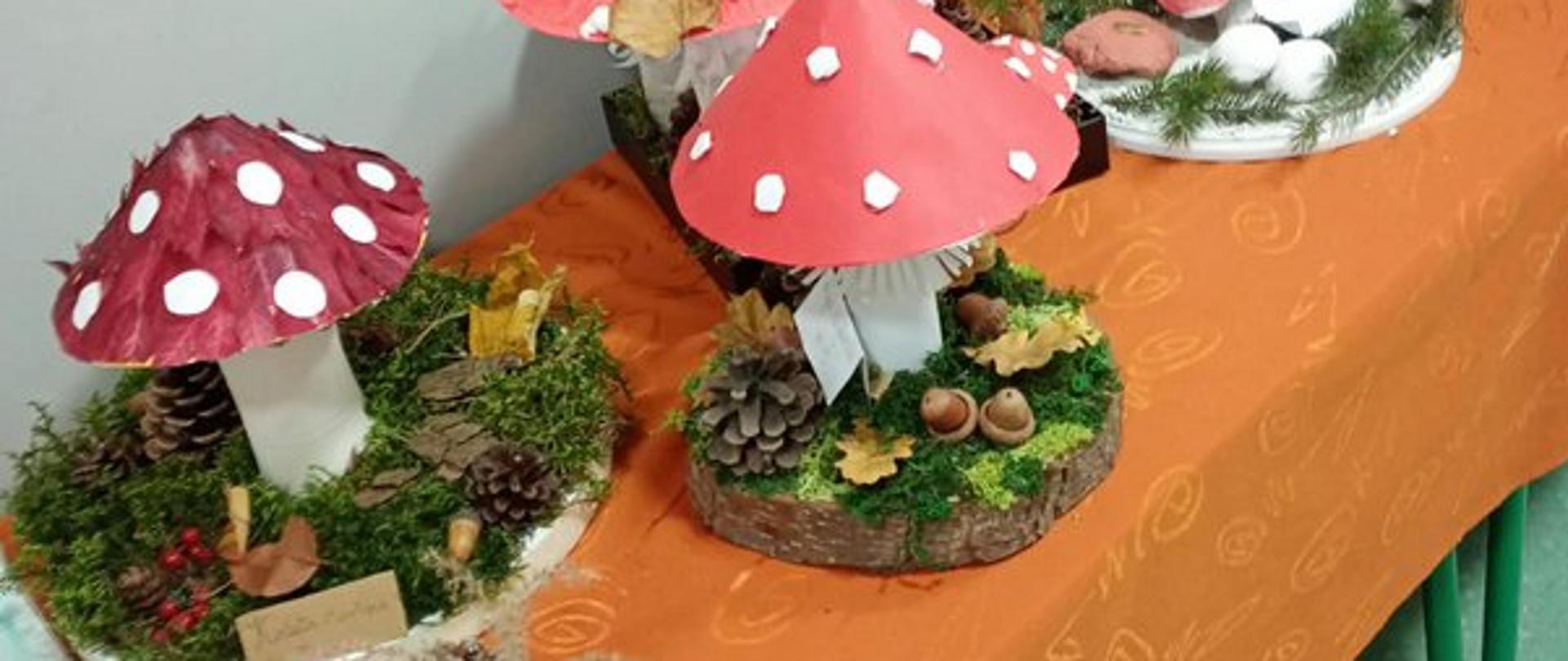 Rozstrzygnięcie konkursu na przestrzenny model grzyba