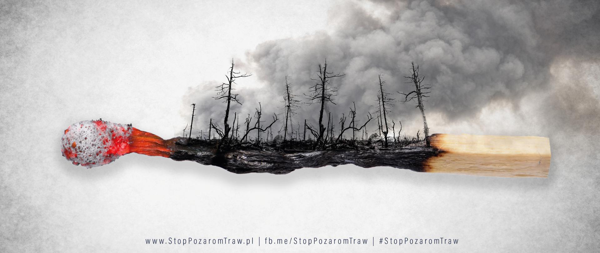 Ilustracja przedstawia spalony las.
