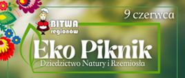 XI Eko Piknik
