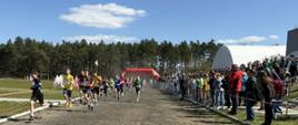XXVIII Mazowieckich Igrzysk Młodzieży Szkolnej w biegach przełajowych Kamion 2026 🏃