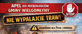 Apel do mieszkańców gminy Wielgomłyny o niewpalanie traw 